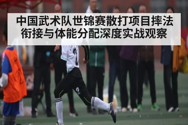 中国武术队世锦赛散打项目摔法衔接与体能分配深度实战观察